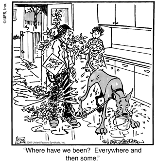 marmaduke